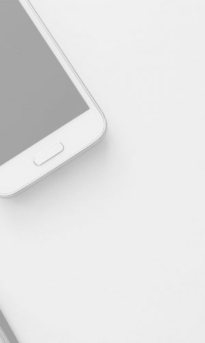 header_white.jpg